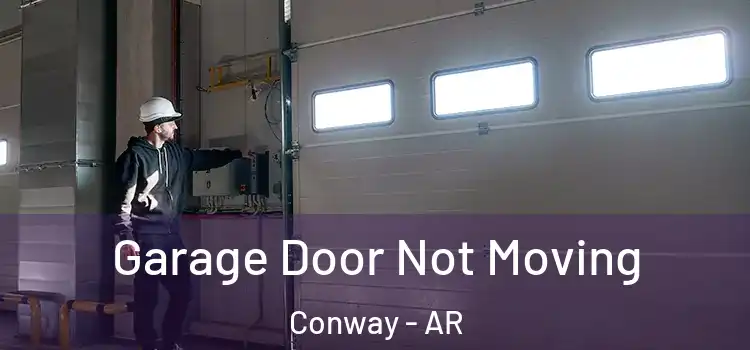  Garage Door Not Moving Conway - AR